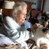 天作之合！101歲阿嬤失去愛貓後遇見「19歲貓瑞」秒收編成彼此依靠