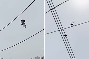 鴿子腳纏線倒掛高空！兩警察「發揮創意」無人機上綁刀片成功解救
