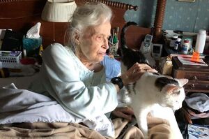 天作之合！美國101歲老太太領養19歲老貓共度晚年：「讓我陪妳一起慢慢變老」
