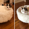 買新床給主子！貓咪躺進去瞬間「融為一體」網笑翻：以為是隻大胖貓