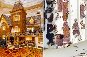 迪士尼「巨大薑餅屋」拆除工程浩大！餅乾碎塊全送給蜜蜂「盡情享用」幫填飽肚子