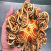 俄羅斯漁夫發布「深海恐怖生物」系列，網友表示：嚇死人了別再po了！