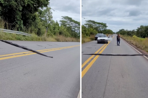 「巨蟒過街中，請稍等！」見5公尺長巨大蟒蛇緩緩滑過馬路，司機立馬「封閉交通」讓牠安心過馬路