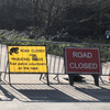 為避免「遷徙中的蟾蜍大軍」被車壓扁，倫敦當局霸氣表示：封鎖道路一個月，直到蟾蜍搬完家
