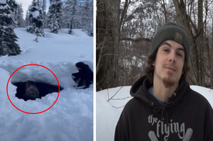 雪地摩托車手發現「被困在層層雪中的駝鹿」，花上好幾個小時才將牠救出脫離險境！
