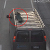 車上有孔雀！警方接獲民眾報案電話表示有「寵物孔雀登上車頂」跑路逃家