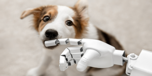 加州少年發明「會擼狗的機器人」讓主人不在家時狗狗也能「獲得愛的大抱抱」？