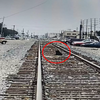 被拋棄汪星人在「火車軌道上等候一個星期」　希望把拔馬麻將自己接回家
