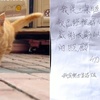 男子養路邊小貓20天發現收養紙條：「我被好心收養了，勿掛念」