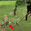 驚悚！愛犬遭大蟒蛇全身纏繞　三名小男孩出動緊急任務跟蛇搶人