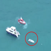 驚悚！鯨魚撞翻載有11名旅客的小船　最終導致「5人失去性命」