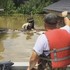 大水困住兩隻比特犬等死，英雄救援者登場解救：「沒有一個生命值得被遺落在後為生存掙扎。」