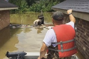 大水困住兩隻比特犬等死，英雄救援者登場解救：「沒有一個生命值得被遺落在後為生存掙扎。」