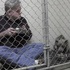 我陪著你，別怕！曾經瀕臨死亡邊緣的鬥牛犬在獲救後，一定要有人陪在牠身邊牠才能安心吃飯，於是男子竟這麼做...
