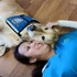 痛痛飛走！牙醫診所聘請了這位黃金獵犬小助理來「工作」後，從此以後小朋友都不怕看牙醫了<3