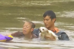 真英雄！男子跳入大水中從下沉的車裡救出女子⋯⋯隨即再次冒險潛入救出小狗狗！