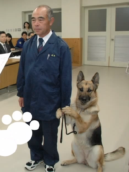 上台領獎好緊張 警犬英勇破案 接受表揚時卻緊張抓住警官的小手