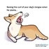 10張甜蜜的插畫描述了身為狗爸媽才能瞭解的小確幸~