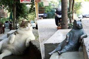 記得這隻在網路上爆紅的「愜意貓」嗎？牠有名到有了自己的銅像座落在自己出名的地方！