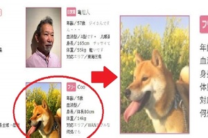 好想租！日本出租男友網站上出現「一隻犬系男孩」，根本從頭到尾都符合犬系標準啊！