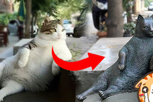 風靡全球的喵星人過世了！紀念雕塑才完成，附近流浪貓竟然...網友直呼：超有義氣！