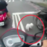 台灣女子騎車載狗未綁狗繩，狗狗等紅燈跳車差點被撞！ヽ(#`Д´)ﾉ