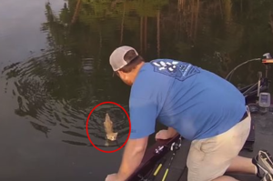 這才是真正的瘋狂釣魚故事！男子釣魚竟然釣上...兩隻小貓咪？ (☉д⊙)