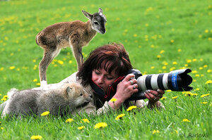 「47張超棒照片」跟你說 當大自然攝影師真的是這世界上最棒的工作