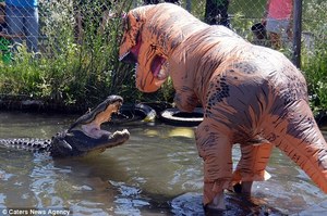 嫌自己命大？動物園巡查員身著「霸王龍裝」手拿食物對巨鰐「挑釁」：「鱷魚太胖了」