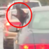 「不要再塞車啦！！」只見汪星人頭伸出車窗瘋狂扭動，原來是在.......真的太爆笑了（影片）