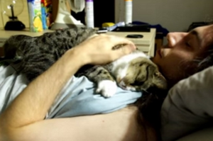 有夠黏！小貓自從被領養後，每天早上趴在主人胸口討抱抱：今天也要好好愛我喔～