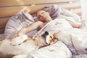 到底可不可以和狗狗一起睡覺？和狗狗一起睡會影響健康及床伴關係嗎？5個優點4項缺點一次告訴你！
