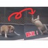 狗狗在「跳跳床」上，接著牠一跳竟然！？汪汪「側滾翻」的身手...網友看了大為驚嘆！（影片）
