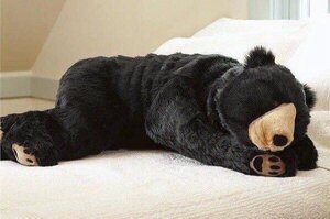 想要當一隻熊？想要有「正當理由冬眠」？這個熊睡袋會是你的最佳選擇！