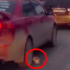 小貓闖進車陣幾乎要被碾斃，超暖心男子奮不顧身衝向車陣的行為......真的令人喝采！（影片）