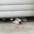 主人在門口貼「內有惡犬」，下一秒哈士奇立馬打臉主人：我兇起來可以把你蠢哭！