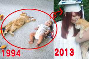 重要時刻牠都在！橘色貓咪和小主人19年的點點滴滴，最後一張照片竟是...網友：超大顆洋蔥！！