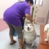 「奶奶說我這樣剛好！」這才是真正奶奶養大的二哈，網友全笑噴啦！