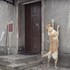 天氣冷想進屋取暖，拉拉自己按電鈴要主人的開門...網友驚呆：「根本神犬！」（影片）