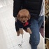 網友帶黃金獵犬「出去玩」，結果這汪汪一路都在睡！
