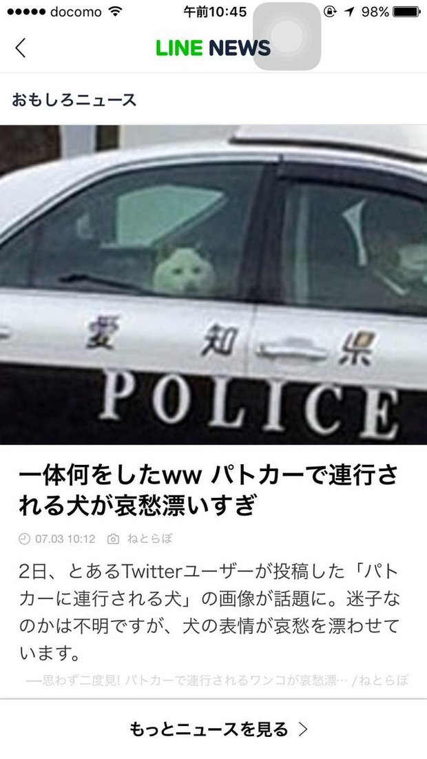 叔叔我下次不敢了q Q 網友上傳汪星人被警察逮捕的照片