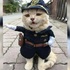 路上被「喵喵警長」盤查，下一秒吵著收保護費的樣子...網友表示：快來逮捕我～