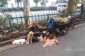 路邊拾荒老人推著一輛破舊推車，身旁一群可愛的狗狗守護讓人看了沈默不語