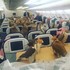 一上飛機後發現旁邊乘客都是「隼」，阿拉伯王子雄厚的財力....真的讓大家驚呆啦！