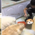 男子直播如何做鮮食，試吃了一口...最後成品讓網友忍不住吐槽：「還不夠你吃啊！」