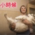 不斷「進化」的雪橇犬最愛把拔抱抱，等牠長到「完全體」......感覺把拔全身都要散了！！！