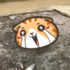 這個村民真是屌，用這個方法對付偷狗賊，警察杯杯都不敢抓他了！(ﾉ>ω<)ﾉ