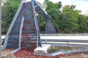 「螃蟹專用的天橋！」這8座專門為動物設計的大橋，每年拯救數以萬計的生命！