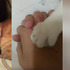 看見馬麻被把拔牽緊緊，吃醋小橘貓衝上前硬要湊一「腳」...怒喊：「馬麻的手手只能讓我牽！」