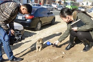 「阿母！我上電視了！」這些狗狗的爆笑照片....每一張都讓人笑死啦！！